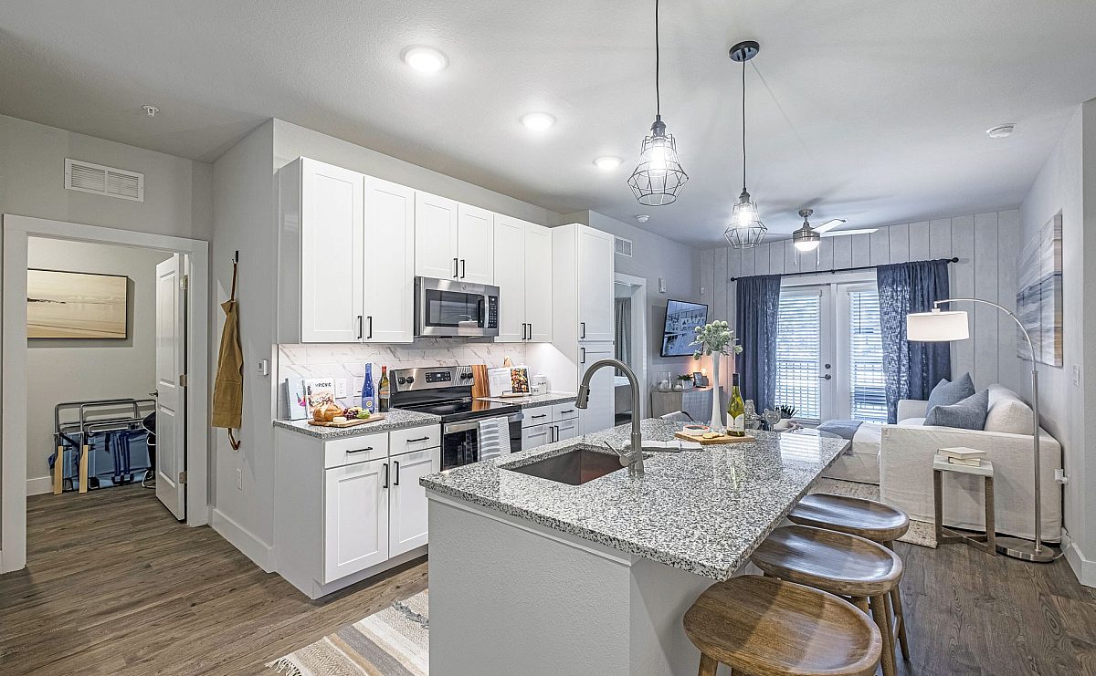 apartment furnished kitchen and living room